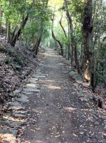 石岳展望台への道