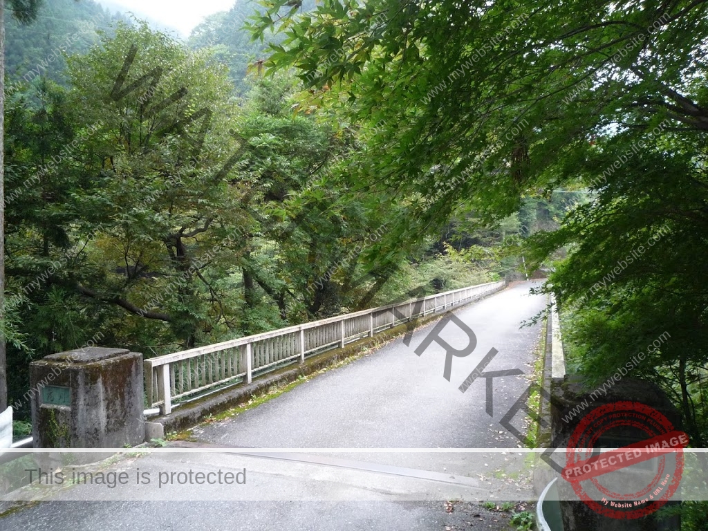 境川 相模川 自転車 ざかい橋