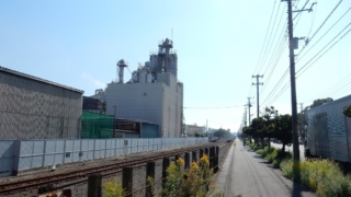 Thumbnail of post image 109