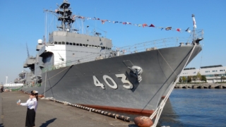 Thumbnail of post image 042