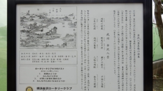 Thumbnail of post image 022