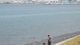 Thumbnail of post image 132