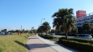 Thumbnail of post image 096