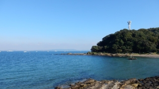 Thumbnail of post image 040