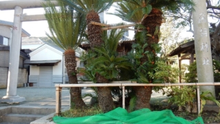 Thumbnail of post image 164