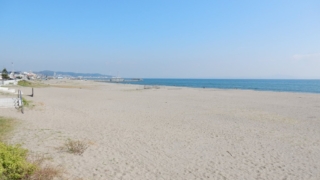 Thumbnail of post image 114