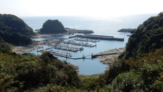 Thumbnail of post image 109