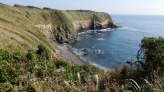 Thumbnail of post image 112