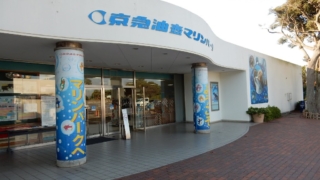 Thumbnail of post image 091