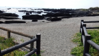 Thumbnail of post image 071