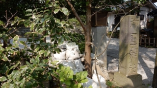 Thumbnail of post image 073