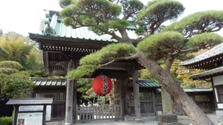 Thumbnail of post image 078