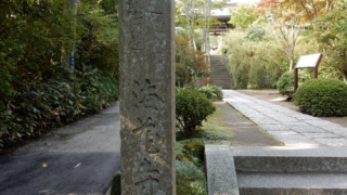 Thumbnail of post image 177