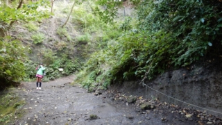 Thumbnail of post image 168